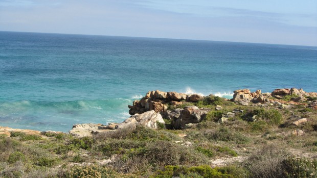 water cape of good hope